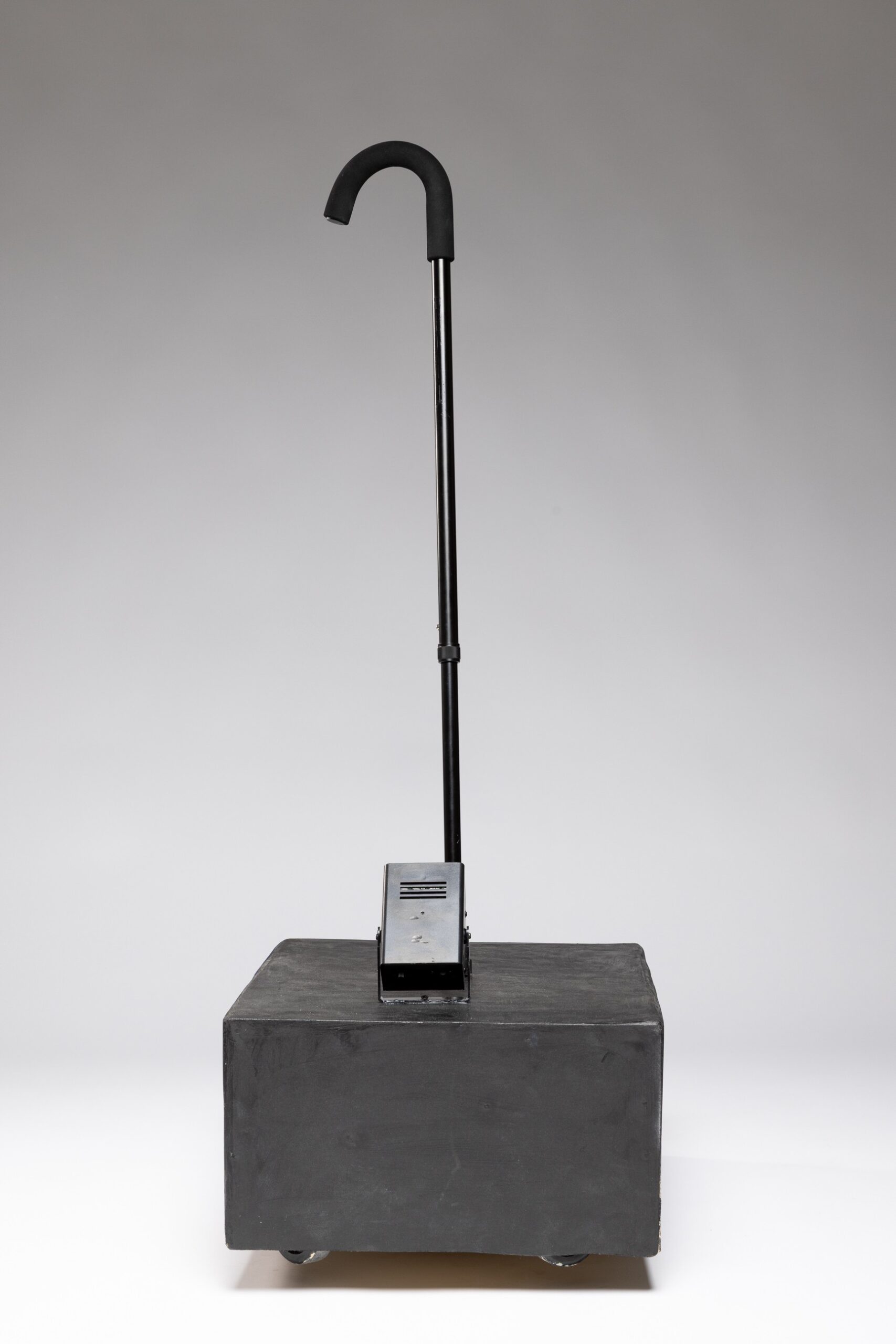 The Cane by Tom Pergola