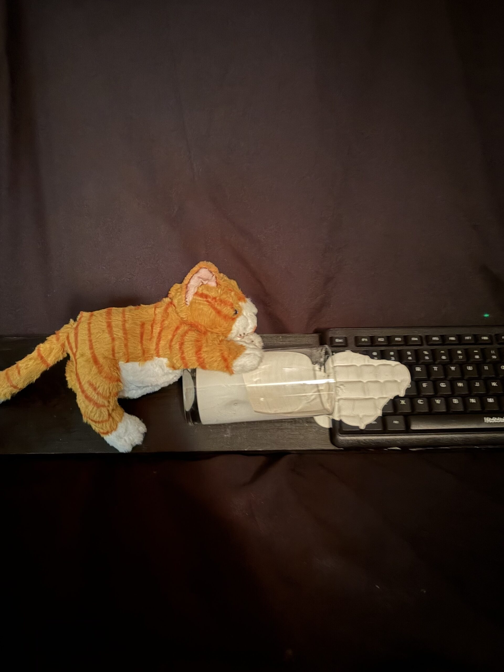 Bad Kitty by Tom Pergola
